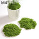 Runhuanian imitation moss landscaping fake moss yarn turf green plants micro landscape plant decoration artificial bionic lawn paving filamentous moss light green 50g can be paved 30*60cm