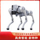 Yushu (Unitree) Go2 Voice AI Modelo Robot Dog Go2 Electronic Dog Inteligencia Acompañamiento Bionic Companion Robot Robot Robot Dog Go2-Pro Long Battery + Control remoto