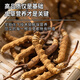 煌家优品冬虫夏草3-4根/g1克装一级断草干草高海拔饱满高品质礼物送长辈