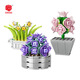
Shantoulin Village plant building blocks and flowers cute small ornaments DIY assembly toy wholesale XJ-10975(E) Spring Cute
