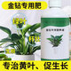 Daye Golden Diamond Special Nutrient Solution Red Diamond Green Princess Yellow Leaf Hydroponic Plants Indoor Potted Green Plants Organic Liquid Fertilizer Golden Diamond Nutrient Solution 300ml/bottle 3 bottles Limited time special price