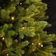Yonghuan Pet Tree Decoration Ornament New Imitation Section Lay P30m 12200 Branches Built-in Remote Control LD800 Lights No
