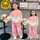 
G.DUCKKIDS Girls Spring and Autumn Fashion Set 2025 New Fashionable Children's Clothing Baby Girl Internet Celebrity Tie-Dye Korean Two-Piece Set 7027 Set 100 cm