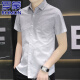
ROMON high-end ice silk cool short-sleeved shirt for men 2025 summer casual half-sleeved square collar free iron shirt for men 844 green L