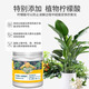 Devodore citric acid soil acidifier flower special fertilizer blueberry jasmine vegetable camellia acid-loving plant potted flower fertilizer citric acid soil acidifier 500g
