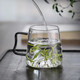 Kitchen helps Japanese glass cup household large capacity water cup resistant to high temperatures in summer thickened mountain viewing green tea cup creative drinking water cup 9195 mountaineering cup 450ML