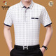 Woodpecker 2020 summer short-sleeved T-shirt for men middle-aged mercerized cotton casual lapel loose plaid t-shirt large size dad suit light green 6625 M m 165