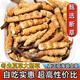 Véritable cordyceps cordyceps sinensis grande herbe brisée haute altitude brisée cordyceps 2025 Premier chaume nouveau auto-usure grande cordyceps cassé naqu high altitude cassée cordyceps 10g pack