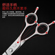 Sakura Mai pet grooming scissors set for beginners, beauticians practice trimming scissors curved scissors/straight scissors/fish bone scissors 7.0 straight scissors + 7.0 curved scissors + 6.8 fish bone scissors