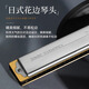 Tongbao Japan Tombo Tongbao 6624S harmonica 24-trous polyphonique c Tune Adult Performance Performance Grade #G (AB)