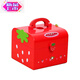 Fanlu (fanlu) Girls Nouvel An d'anniversaire cadeau d'anniversaire gâteau jeunes enfants en bois coupé moins maison cuisine petite princesse jouet the set
