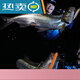 
Blue Sailfish Trail Death Water Floating Pencil Word Dog Luya Bad Little Bad Bad Bad 100mm-15g-739-3d Silver Scale