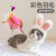 New cat toys, cat sticks, long rods, feathers with bells, cat toys, pet cat sticks to relieve bored cats, 1 replacement head