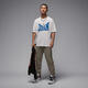 耐克（NIKE）【滔搏运动】2025年男子AS M J BRK COL WM SS CREW短袖T恤 HV3895-051 3XL