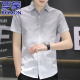 
ROMON high-end ice silk cool short-sleeved shirt for men 2025 summer casual half-sleeved square collar free iron shirt for men 844 green L