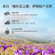 
Yuanshangfang Iran imported full red filament special saffron for elders gift box [gift box gift gift] 5g saffron 10 bottles