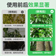 Lupan green plant happy tree special nutrient solution first aid yellow leaf fallen leaf surface liquid fertilizer fallen leaf dry hydroponics