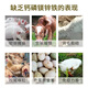 High calcium shell powder chicken, duck and goose feed pigeon livestock and poultry calcium supplement special oyster powder premix additive for bone strengthening Selected fine powder finely screened shell powder 10 Jin Jin is equal to 0.5 kg