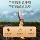 Lei Yun Shang Cordyceps Cordyceps gift box about 5 pieces/g 10g About 50 pieces holiday gifts high-end elderly nutrition products