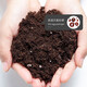 Necessary for flower cultivation, nutritious soil, peat soil, flower cultivation soil, green plant seedlings, money tree soil, light soil for planting, 10L 1 bag
