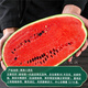 Dayu Lazy Man Watermelon Seed Seedlings Extra Large Suitable for Early Maturing Lazy Man in the South 8424 Kirin Melon Meidu Seedless Fruits and Vegetables Big Fruit Black Beauty Watermelon Seeds 20 capsules 2 bags of black skin