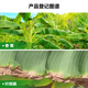 Zhongbao pyraclostrobin 25% pyraclostrobin banana fruit leaf spot pesticide fungicide 100g/bottle