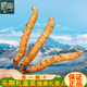 藏幽正宗藏区高海拔冬虫夏草礼盒滋补品头期干虫草送长辈父母营养品 【烫金礼盒】4根/克-10克-40根【送礼推荐】