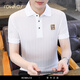 T-shirt Rowilos Brand Polo à manches courtes pour hommes à manches courtes pour hommes T-shirt en maille à manche à manches à manches à manches à manches à manches à manches à manches à manches W9923 M (90-100jin [Jin est égal à 0,5 kg]))