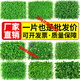 Wall simulation plant lawn wall decoration balcony indoor background wall plastic artificial artificial turf