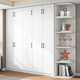 Feimuda package installation wardrobe home bedroom storage locker modern simple small apartment simple rental room wardrobe 1.2 meters main cabinet (three doors)