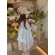 YNWWGW satin shirt for women summer Korean style thin gentle shorts suit 9755 pink shorts [single piece] M [recommended 100 Jin [Jin equals 0.5 kg] below]