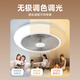 Panasonic fan lamp full spectrum IP40 36 watt eye protection lamp restaurant bedroom LED lighting