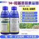 Syngenta Yishiban 14 Hydroxybrassinosteroid Sterol Rice, Wheat, Peanut, Flower and Fruit Preservation, Anti-stress Growth and Growth Regulator 1000ml*2 Bottles