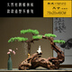 Ouoety New Chinese Zen Willkommen bei Pine Wurzelkunst Wurzel geschnitzte verwitterte Holzornamente Model Room Club Hotel Eingang TV -Schrank YM1396: Stil (voller Bild)