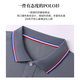 真维斯（Jeanswest）短袖POLO衫夏季纯色绣标上衣服polo衬衫 浅灰698 L （建议100-110斤）