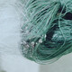 Weiße Seide Dreischicht sinkende Netzfischnetz Sticking Net Green Wire Mesh 100 Meter Fischerei Netto Crucian Karpfenfischerhänge Hanges Netto-Reservoir Netto Silber Net 1,5 Meter hoch 2 Finger weiße Seide Dreischicht sinkend 20 Meter lang