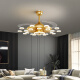 Opple Lighting es adecuada para Light Invisible Luxury Gold Electric Ventilador de ventilador de techo Ligero Salón de la sala del hogar Comedor del dormitorio 1047 Gold-42 pulgadas Remoto Remoto