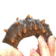 Lao Yin's fresh sea cucumber nourishing ready-to-eat 4-5 years deep sea sowing individually packaged frozen fresh sea cucumber winter nourishing gift fresh sea cucumber 300g 16 or more 500g