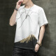 
Sijin short-sleeved T-shirt for men summer trendy brands ins casual half-sleeved T-shirt Volcanic rock print men's top clothes 829 gray M