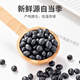 Beijing Tongrentang Black Beans, Riz noir, sésame noir, Wolfberry, Mulberry, combinaison de lait de soja, cinq bouillies noires, grains, riz noir + haricots noirs + sésame noir cuit + Wolfberry noire dans un total de 695 grammes