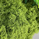 Runhuanian imitation moss landscaping fake moss yarn turf green plants micro landscape plant decoration artificial bionic lawn paving filamentous moss light green 50g can be paved 30*60cm