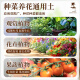 根力豆椰砖营养土椰糠砖养花种菜通用型椰壳砖花土椰砖椰土土壤种植土 脱盐椰糠砖【675G一块】