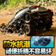
Jingde German quality children's remote control amphibious crawler toys waterproof armor drift toys Children's Day gift Black tank [amer and land] single handle remote control [tank lithium battery * 1 [battery lasts for 30 minutes