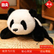 Süße kleine Waschbärpuppe Plüschspielzeugsimulation Panda Zoo Kinder Geburtstag Geschenkpuppe Stammes Stammes BROWN WACKCOON 45 cm [Bandverpackung]