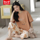 Catman Miiow Pure Cotton Pyjamas für Frauen Sommer kurzärmeligte Hosen Sportstil Lose Casual und können außerhalb der Frühlingshausbekleidungsanzug T-9857 (kurzer Anzug) M (80-Jin [Jin gleich 0,5 kg]) getragen werden)