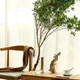 MPPMCK-Acryl-Anti-Fall-Vase-Ornament Wohnzimmerblüteanordnung Transparentes hydroponisches Bambus gerade Barrel Advanced Awakening Blum Eimer Dicked [hohe Wertempfehlung] 12352 Dezimalanlagen