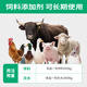Huiqianfang Vitality Multivitamin Electrolytic Multidimensional Veterinary Trace Elements Livestock and Poultry Feed Additive for Chickens, Ducks, Cattle, Sheep, and Pigs 1 bag 500g/bag