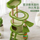 Cat Rack Cat Cat Rack Rack Momed Rattan Mat Nest Nest Cat Arbre Capsule Integrate Space Cat Toy Cat Small Size N'occupe pas l'espace Aisha Milano-T15122CM Plateforme de saut multicouche
