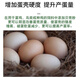 High calcium shell powder chicken, duck and goose feed pigeon livestock and poultry calcium supplement special oyster powder premix additive for bone strengthening Selected fine powder finely screened shell powder 10 Jin Jin is equal to 0.5 kg