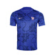 耐克（NIKE）2025法国赛前热身足球训练服短袖T恤FZ9710-438 FZ9710-438 S